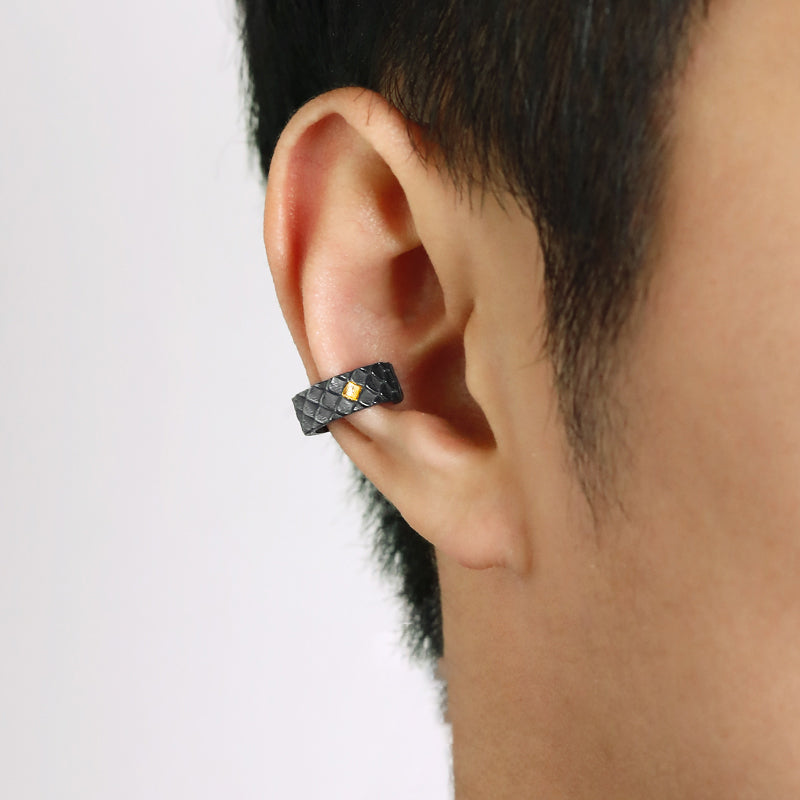 Inverted scales (ear clip)
